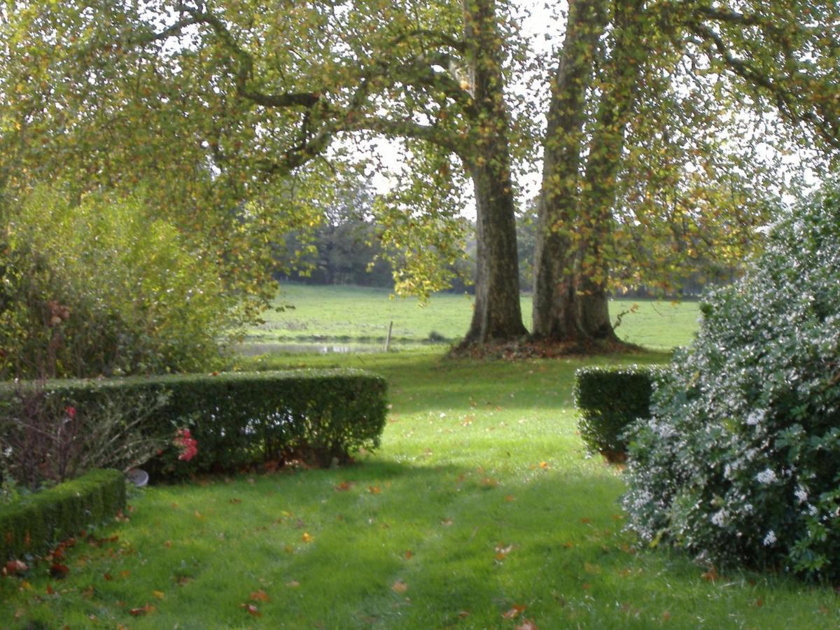 Chateau Du Fraisse Nouic Exteriér fotografie