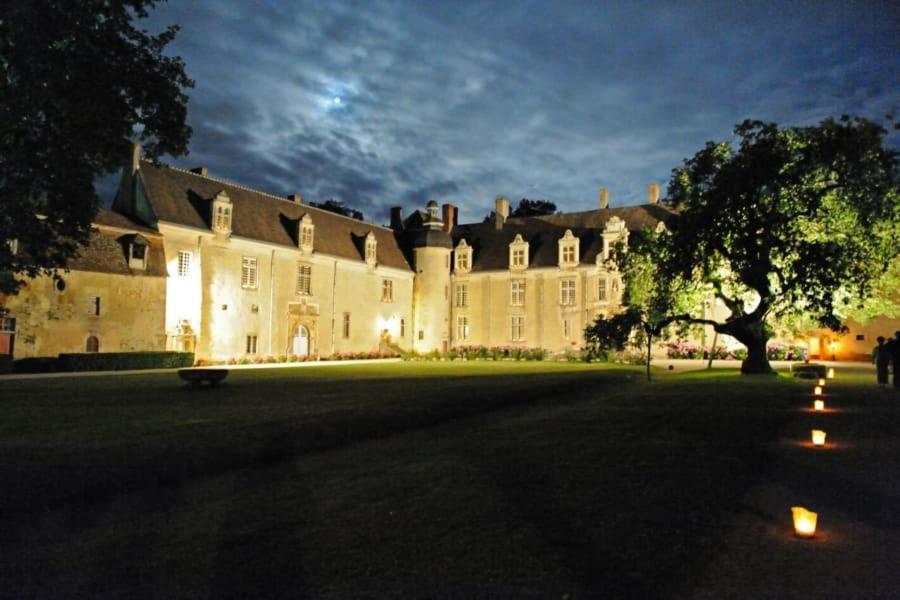 Chateau Du Fraisse Nouic Exteriér fotografie